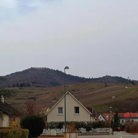Les Vignobles D'alsace Pensjonat Wintzenheim