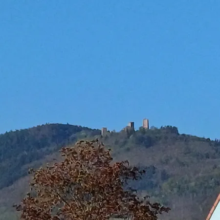Pensjonat Les Vignobles D'alsace Wintzenheim