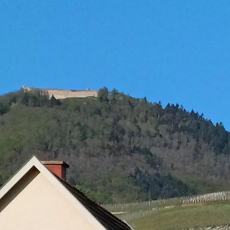 Les Vignobles D'alsace 4* Wintzenheim