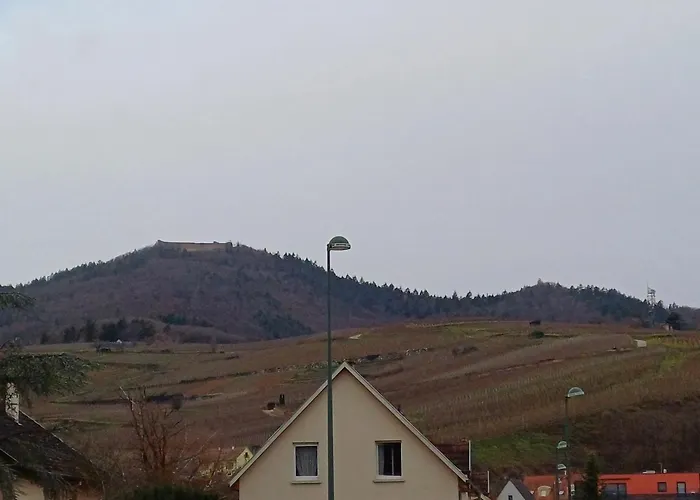 Les Vignobles D'alsace Guest house Wintzenheim