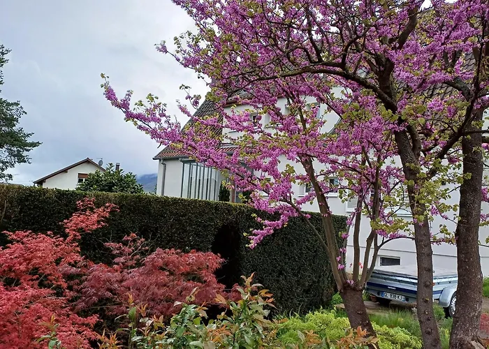 Les Vignobles D'alsace 4*